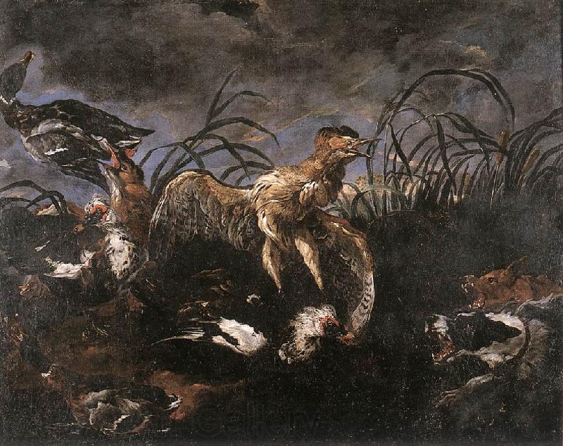 FYT, Jan Bittern and Ducks Startled by Dogs ssg Spain oil painting art